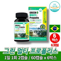 코스트코 약국 츄어블 브라질 그린 프로폴리스 액 아연 c 캔디 액상 캡슐 그린폴리스 면역에 좋은 영양제 페퍼민트 향, 6박스