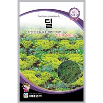 딜 허브 씨앗 향신료 종자 차 dill herb seed 100알