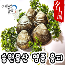웅피 북방조개 운피 제철 생물 1kg 캠핑용조개 구이용조개 찜용 고급웅피 활웅피
