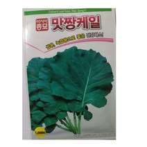 케일 씨앗 - 종묘원