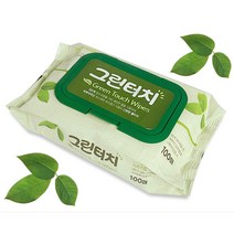그린터치 물티슈100매(캡형) 피톤치드 두툼한물티슈, 1