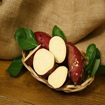 국산 땅끝 해풍 맞은 고구마 5kg 아이간식 맛있는 신선, 긴중상, 1개