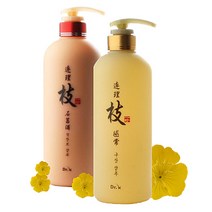 일진 Dr.k 연리지 석창포샴푸 구상샴푸 750ml, 1