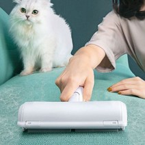 반려동물 반영구 돌돌이 먼지제거기, 단품, 단품
