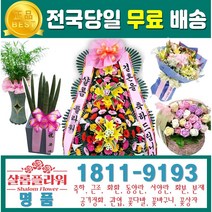 크로톤화분 화환꽃 결혼식화환가격 축화환 행사화환 축하화환 장례화환 화환축하 축하화환가격 크로톤선물배달 화분크로톤 화분선물배달 선물배달크로톤 선물배달화분 배달업체워터자스민, 2.근조3단