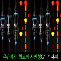 SZ몰 G1 전자찌 고밀도 나노찌 바닥 민물 올림찌 내림찌 하우스찌 민물낚시찌 사선찌 입질감지, 1개, 타입 9번