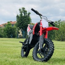미니 전기 오프로드 오토바이 48V350W 성인, 단일사이즈, 48V 납산 유형 A