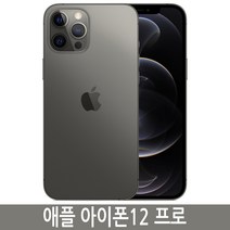 아이폰12프로 iPhone12 Pro 자급제, 256GB, 그래파이트