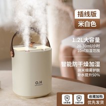 샤오미 스팀청소기 가정용 지능 온열 임부 살균 무소음가습기, T02-미백 색 x 삽선판(나노미터 정음 안개