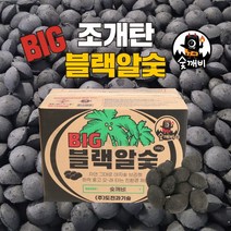 숯깨비 바베큐숯 캠핑 조개탄 [블랙알숯 BIG 14kg], 1개