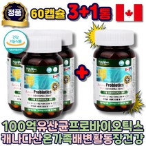 임산부 락토바실러스 유산균 프로바이오틱스 캡슐 100억 배변활동 식물성 플란타럼 불가리쿠스 퍼멘툼 가세리 살리바리우스 카제이 람노서스 어린이 여자 남자 남성 성인 여성 수험생 키즈