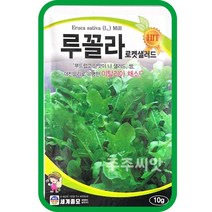 루꼴라 로켓샐러드 10g / 상추씨앗 루꼴라씨앗 루꼴라씨, 단품