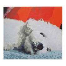 PT 주문제작 DIY 유화그리기세트 강아지 고양이 그리기 캔버스 명화그리기 숫자 페인팅, 60x80 36색