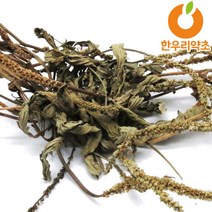 질경이차 300g 차전초 효능 먹는법 국산, 질경이300g, 1개