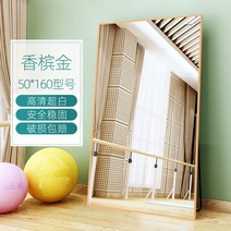 전신거울 벽걸이 화장대 댄스실 조명 요가 연습실, 샴페인 골드 50*160, 본품, 없음