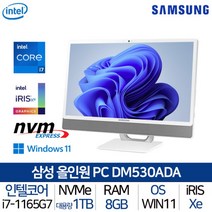 [삼성전자] 올인원 일체형PC DM530ADA-L78A_T3 i7 WIN11홈 탑재 가성비, 상세 설명 참조, 상세 설명 참조