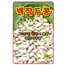 백작두콩 씨앗 10립, 1개