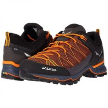 살레와 마운틴 트레이너 라이트