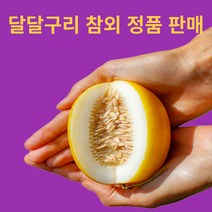 고당도 참외 소과 중과 대과 정품, 성주 참외 정품 3kg(7~12과) 중과, 1개