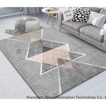 북유럽풍 대형 거실 카페트 사계절 극세사 소형 러그 매트 모음, 160×230cm + T