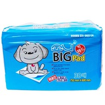 ♤N.Smart♤_국내산 쇼니 BIG 패드 초대형 30매 애완동물배변패드 애완동물배변훈련 강아지패드 반려견패드 애견패드_1qwerzdt9, 짱!굿굿!좋아요!!