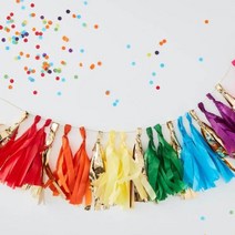 레인보우 테슬 가랜드 Rainbow Tassel Garland GR