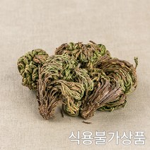 16GF_국산 부처손(권백) 100g 국내산 한약재 한방 약초