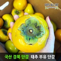 이츠올릿 태추 부유 단감 5kg 25~35과 진영 대추 창원 청도 창녕 땡감
