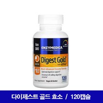 소화 효소 다이제스트 엔자임 종합 효소 탄수화물 지방 단백질