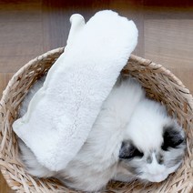 [집사장갑 냥갑] 고양이 할큄방지 털관리 초보집사 고양이 발톱깍기, 봄베이 블랙