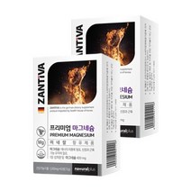 ZANTIVA 독일마그네슘60정x2 미네랄함유