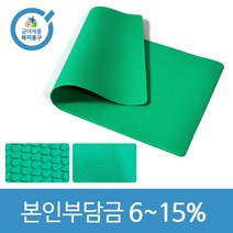 노인복지용구 요양인정번호필수 미끄럼방지매트 욕실 거실 베란다 다용도 발판 DM-100S, 일반수급자15
