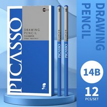 피카소 12 Pcs 스케치 연필 블랙 세트 드로잉 예술가 숯 아트 용품, 14B x12