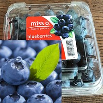칠레 생 블루베리 생과 미국산 국산 생 블루베리 125g, 10팩