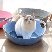 고양이 펠트 바스켓 방석포함 고양이용품, 블루