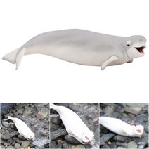 벨루가 흰돌고래 해양 동물 모형 장난감 역할놀이 모형장난감 사실감 자연학습 흡사 리얼