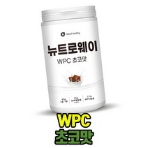 농축유청단백질파우더 WPC 600g 초코맛