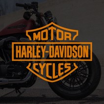 할리데이비슨 모터사이클 로고스티커 데칼, 160x120mm, 골드