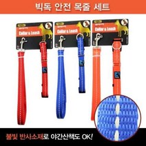 빅독 안전 목줄세트(특대)25mm, 상세페이지 참조