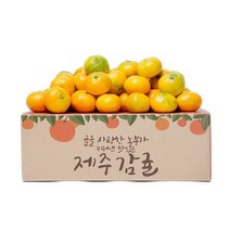 제주 햇 감귤 4.5kg 프리미엄과, 상세페이지 참조, 5kg
