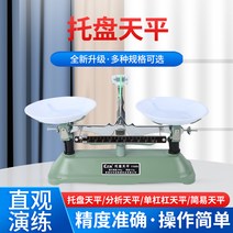 에스알인터내셔날 수평 계량 영점저울 앉은뱅이저울 천칭 저울 비율 무게측정 평형, 천평 500그램+분동