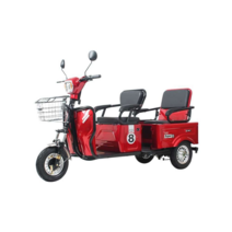 2인용 스쿠터 전동 삼륜차 노인용 삼륨 전기 오토바이, 납산 20a 48V
