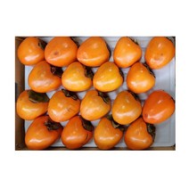 따봉이네과일 대봉감, 1box, 10, 4.5kg내외(10-20개)