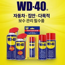 자전거 체인 스프레이 녹제거제 녹제거방법 쇠녹제거, WD 40 SS(360ml)