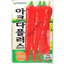 아크다플러스고추씨앗 1200립 역병내병계 순한맛고추 23년고추씨앗 현대종묘고추씨앗