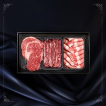 설선물세트 1++ 등급 명절선물세트 마장동 투뿔 한우 구이용 한우선물세트 오늘하루이츠 꽃등심 갈비살 차돌박이, 일반포장