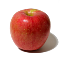 산지직송 햇사과 홍로 사과 아리수 꿀 상주 가정용 선물용, 상주사과 5kg (18~20과)