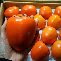 대봉 대봉감 홍시, 대봉감 4.5kg 중과 (11-20과)
