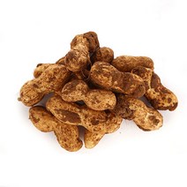 23년 국내산 삶아먹는 피땅콩 생땅콩 물땅콩, 1개, 땅콩3kg