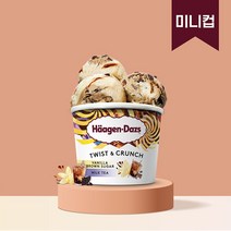 하겐다즈 브라운슈가 밀크티 미니컵 95ml